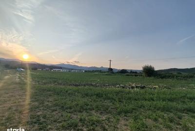 Teren de 1100 mp, în Ighiu - 3