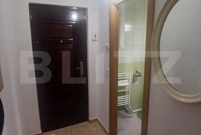 Apartament de vanzare, cu 2 camere zona Alexandru cel Bun - 18