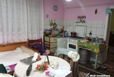 Casă cu 3 camere cu Teren 3320 Mp în Căpușu Mare - 5