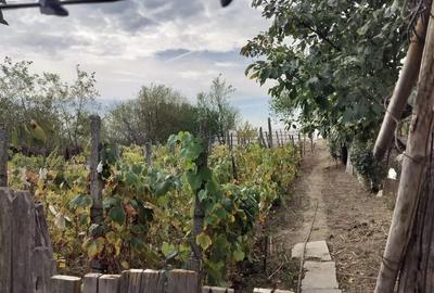 Vand casa piatra olt - 3