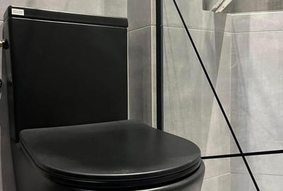 De închiriat Studio, Parter /terasă, Primăriei, Oradea. - 9