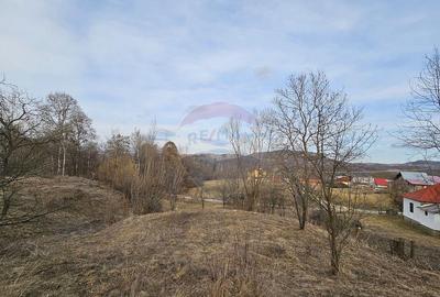 Teren Plaiu_Provita de Sus- intravilan 5373 mp_deschidere... - 14