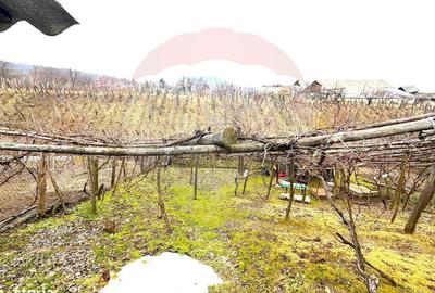 Casă cu 3 camere în Lespezi - 8