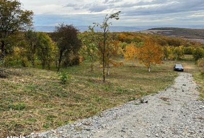 Spațiu comercial, în Gheorghieni - 7