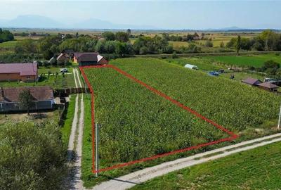 Teren intravilan, pe 2.000mp, Bacel, Covasna - 4