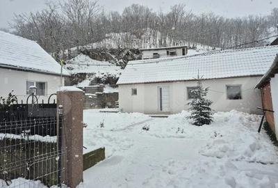 Casa 4 camere | Vintu de Jos | Teren 4.700 mp |a 15 min de Alba Iulia - 2
