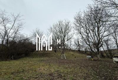 Teren agricol intravilan de 5017 mp, în Nord - 1