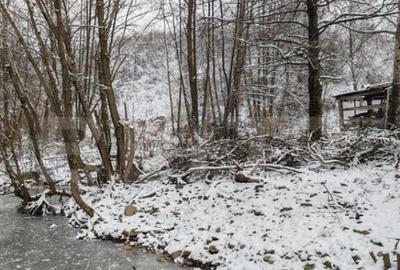 Cabana 3 camere + 1,7 ha teren , Spre Campul Cetatii - 1