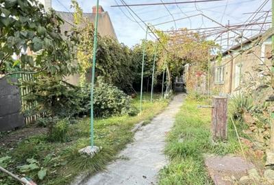 TEREN | DELFINARIU | DESCHIDERE 13 - 1