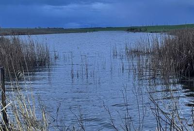Teren de 120000 mp, în Drăgănești-Vlașca - 5