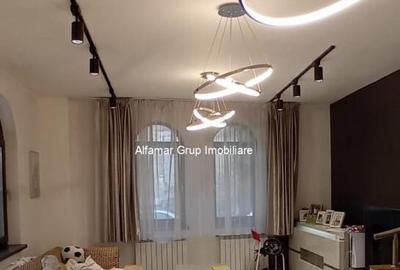 Casa cu povesti din Lacul Tei - 6