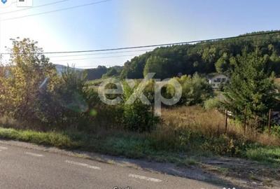 Teren în Podiș - 3