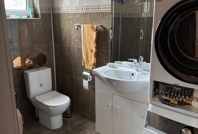 Casa parc Bazilescu - 17