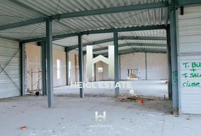 Casă cu Teren 6802 Mp în Albina - 1