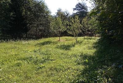 Spațiu comercial, în Voineasa - 2