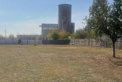 Spațiu comercial, în Halânga - 4