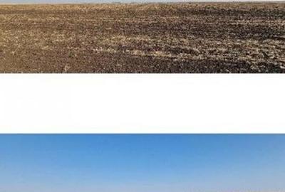 Teren extravilan Putineiu, ID: R2718957 - 8