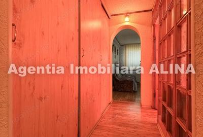 Apartament cu 3 camere semidecomandat în Gojdu - 11