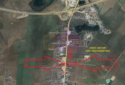Teren de 3600 mp, în 1 Decembrie
