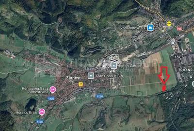 Teren de 7838 mp, în Zărnești - 9