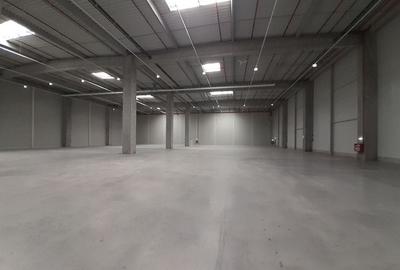 Bd. Th. Pallady - 1700mp - ISU - comision 0 - 2