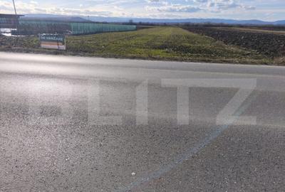 Teren de 4900 mp, în Central - 2