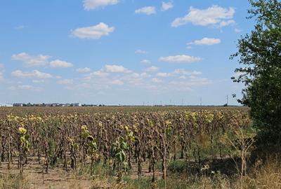 Teren Construcții intravilan de 33000 mp, în Exterior Sud - 8