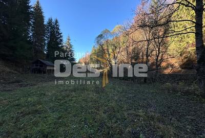 Teren Construcții extravilan de 2882 mp, în Podu Dâmboviței - 8