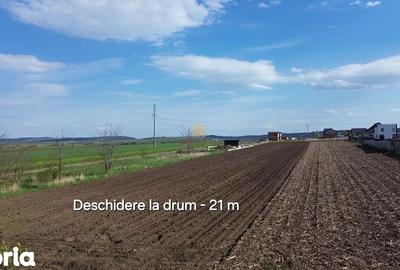 Teren de 3498 mp, în Ipotești - 5