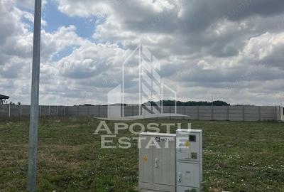 Teren de 608 mp, în Ghiroda - 3