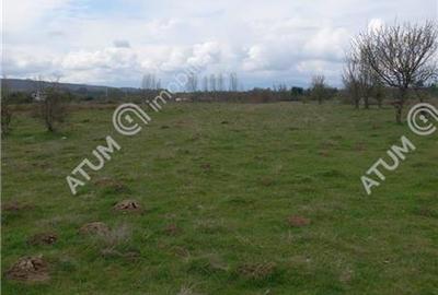 Teren de vanzare Valea Avrigului 2100 mp intravilan langa Dino Park - 2