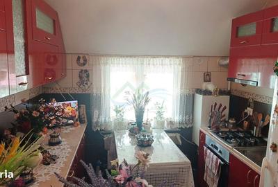 Garsonieră în Paltin - 6