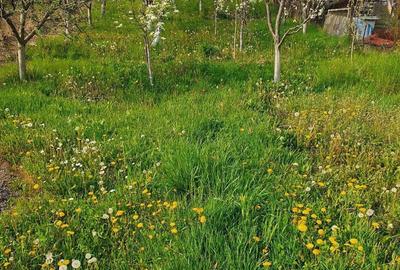 Casă cu 2 camere în Bodoc - 5