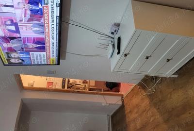 Garsonieră semidecomandată în Tineretului - 1