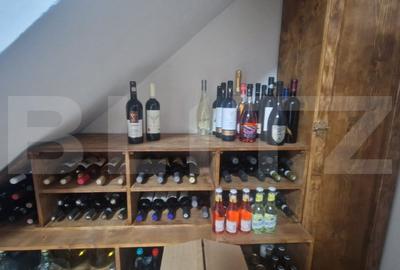 Casa moderna P+1 Lux , Izvor  individuala 5 camere plus pivnita , curte si anexe - 18