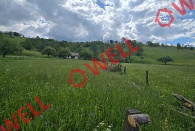 Teren intravilan de 3200 mp, în Barcani - 3
