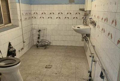 Casă cu 2 camere în Variașu Mic - 8