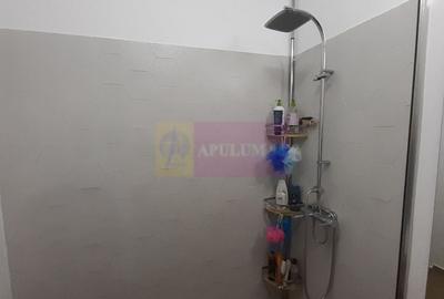 Casă individuală cu 3 camere cu Canalizare în Nord-Vest - 46