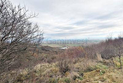 Teren Construcții extravilan de 4385 mp, în Dealuri Oradea - 4