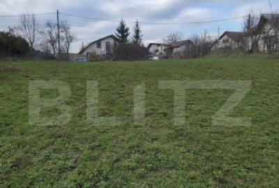 Teren intravilan 3000mp ,sat Plopu, Prahova - 2