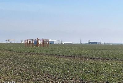 Teren de 5000 mp, în Central