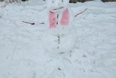 Casă cu 2 camere cu Teren 2100 Mp în Valea Bujorului - 3