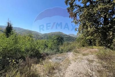 Teren de 702 mp, în Buru