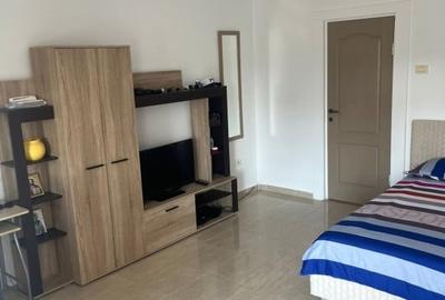 GARSONIERA | ZONA CITY PARK MALL | TERMEN LUNG - 2