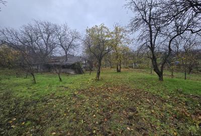 Teren Construcții intravilan de 500 mp, în Tomești - 2