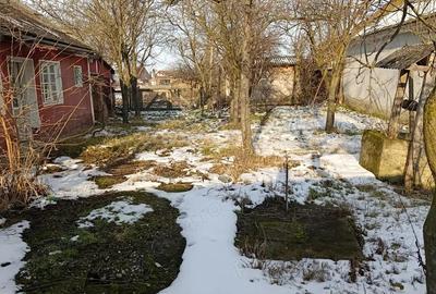 Vand casa cu 3 camere ?i teren mare in Diosig, - 3