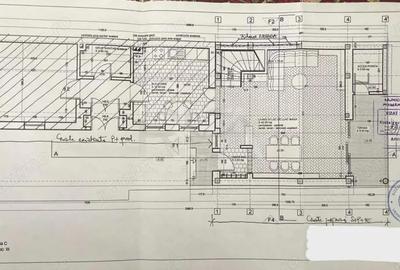 Vila 6 camere, Titulescu, Curte ?i zona de relaxare Metrou la 7 minute - 20