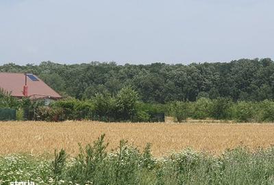 Spațiu comercial, în Balotești - 5