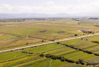 Teren extravilan Lunca Calnicului langa E574 - 12