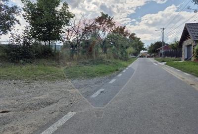 Teren Construcții intravilan de 5597 mp, în Poduri - 8